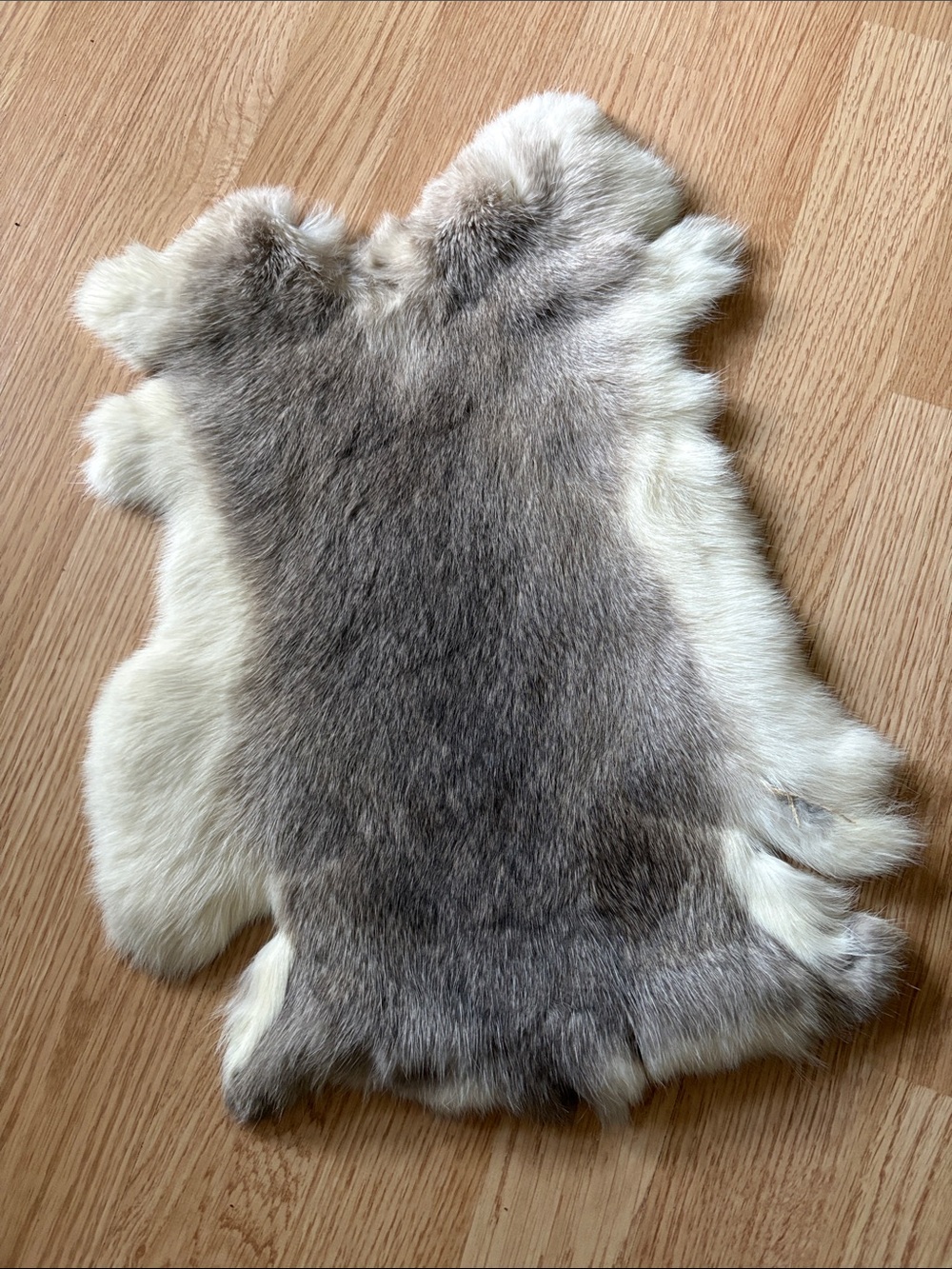 B0196 premium natural rabbit pelt craft decor